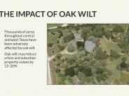 Texas Oak Wilt Presentation