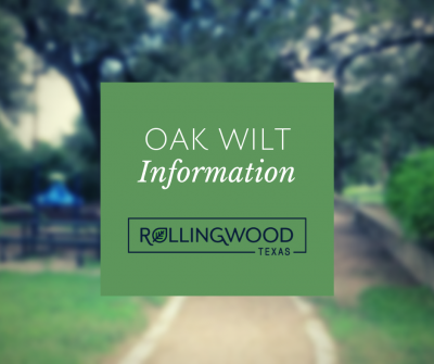 Oak Wilt - Rollingwood